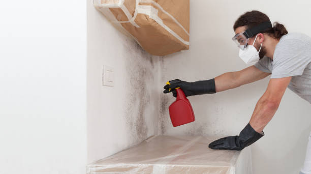 Professional Bathroom Mold Removal technician working in North, VA