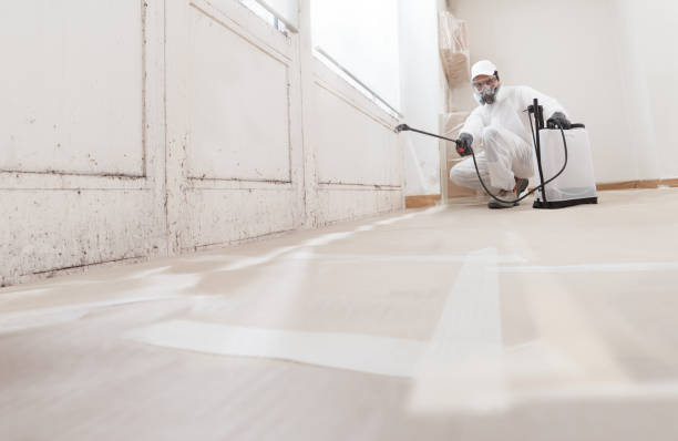 24/7 Emergency Bathroom Mold Removal experts in North, VA